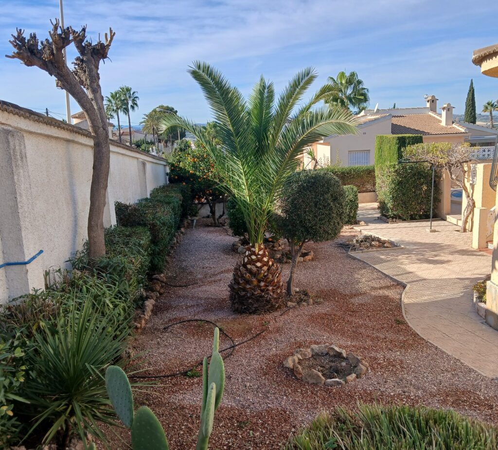 Mediterranean garden South Alicante